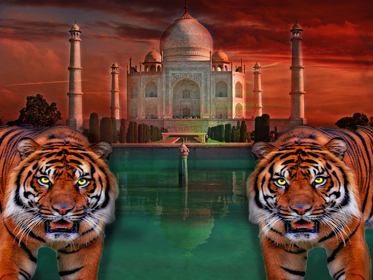 taj mahal tiger india free photo