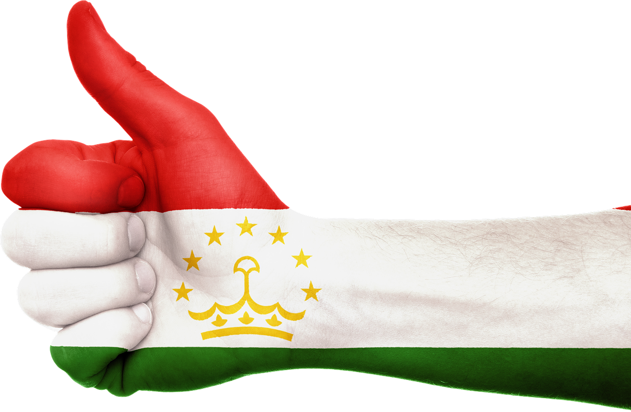tajikistan flag hand free photo