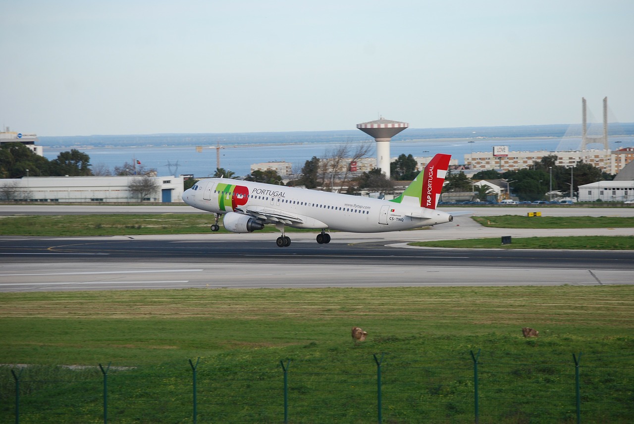 take-off airport portugal free photo