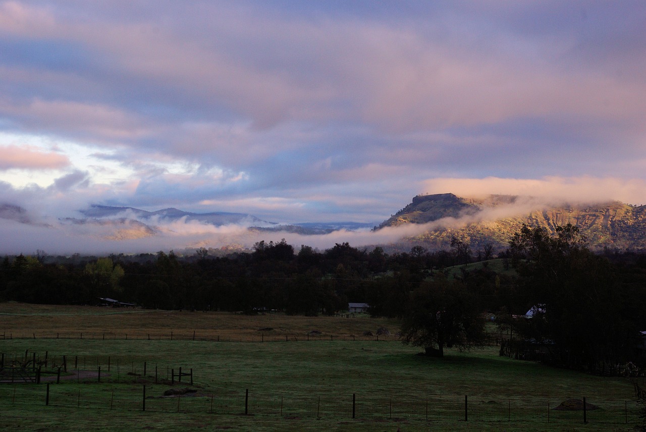 talahi background dawn free photo