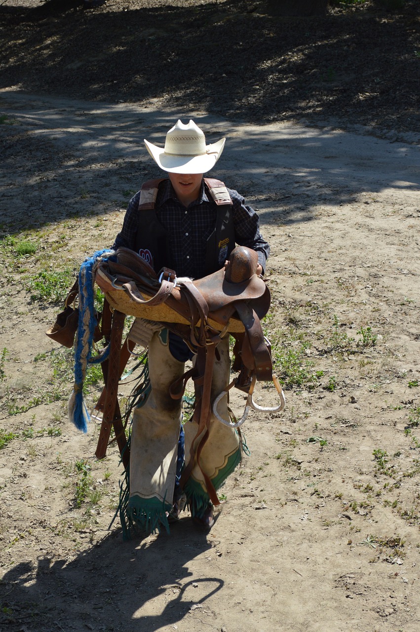 talahi cowboy saddle free photo