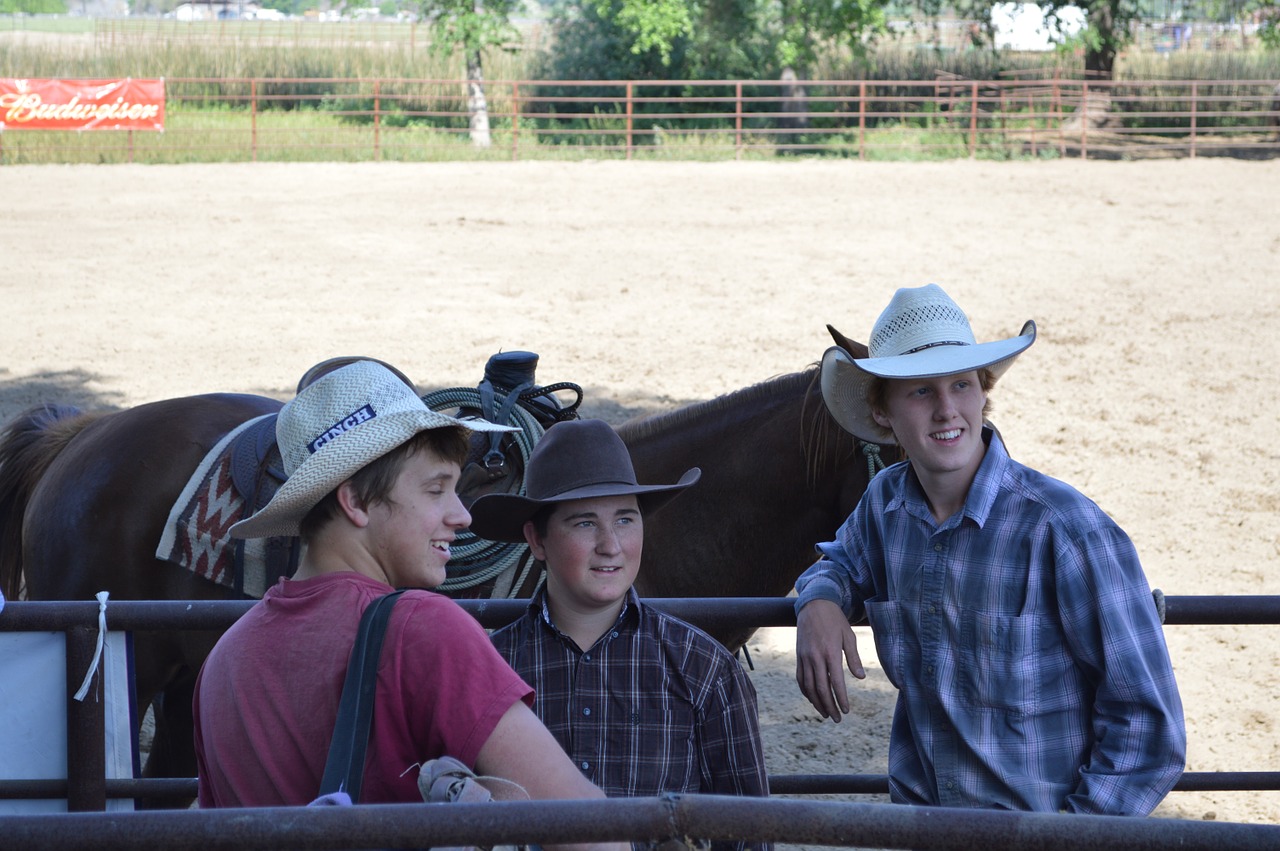 talahi cowboys cow hands free photo