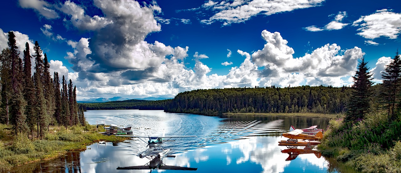 talkeetna alaska brush plane free photo