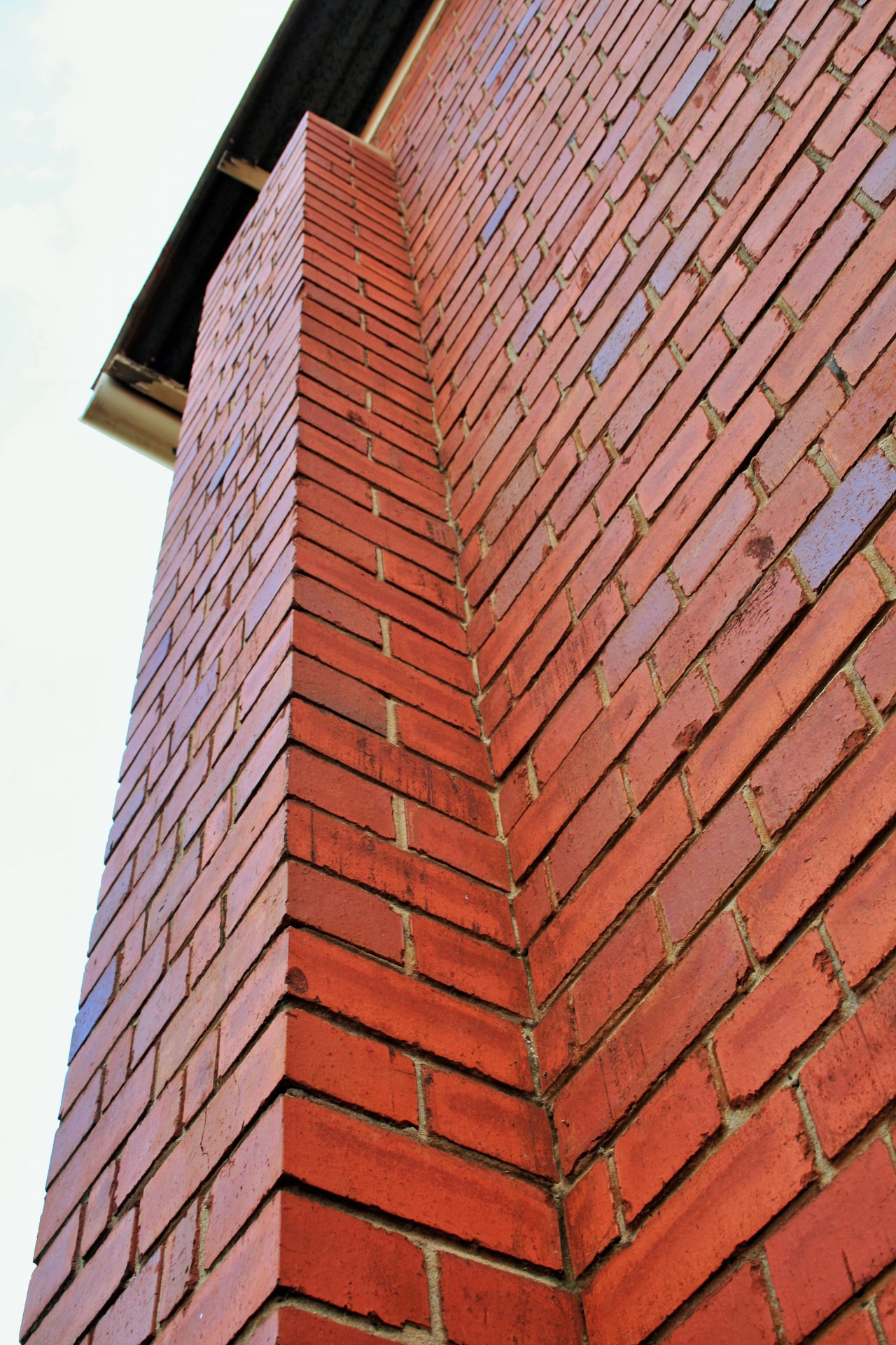 wall bricks red free photo