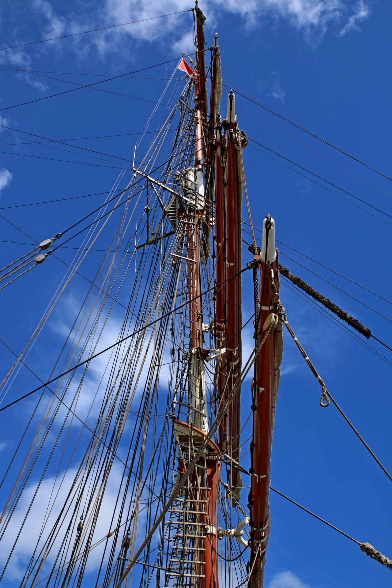 tall ships sailing sails free photo