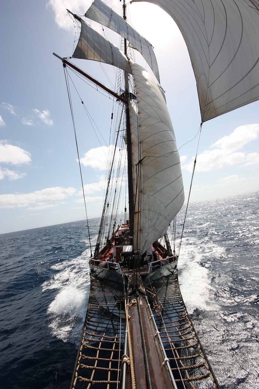 tall ship oosterschelde classic sailing free photo