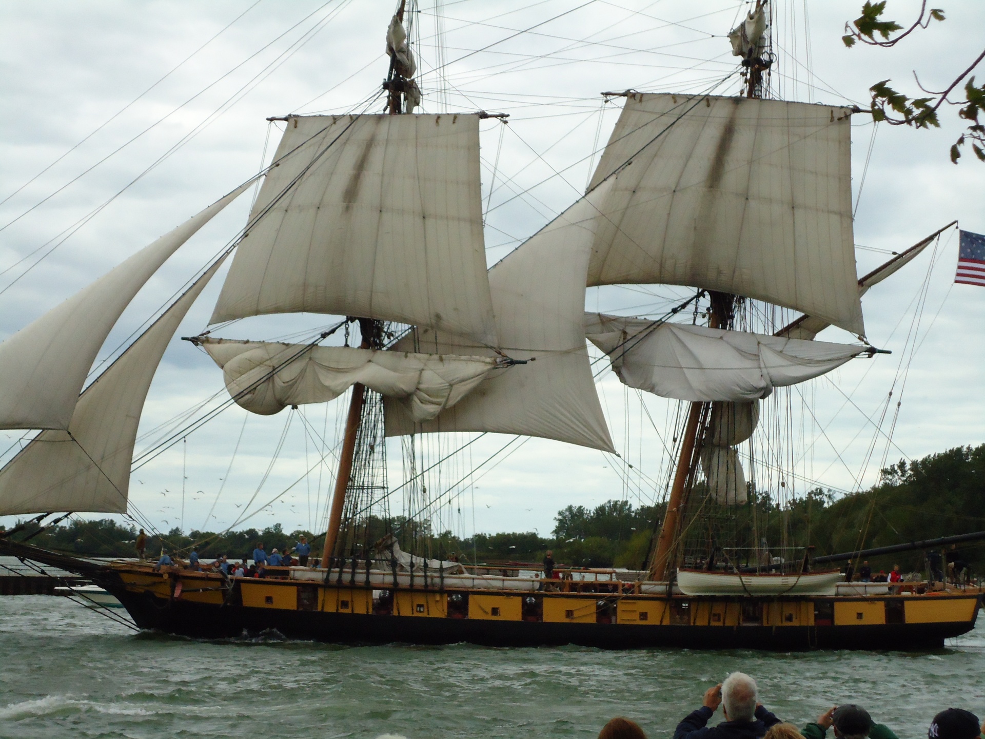 tall ship ship sail free photo