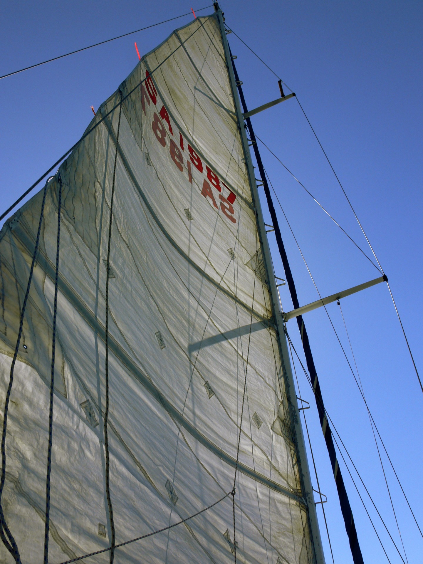 sail yacht wind free photo
