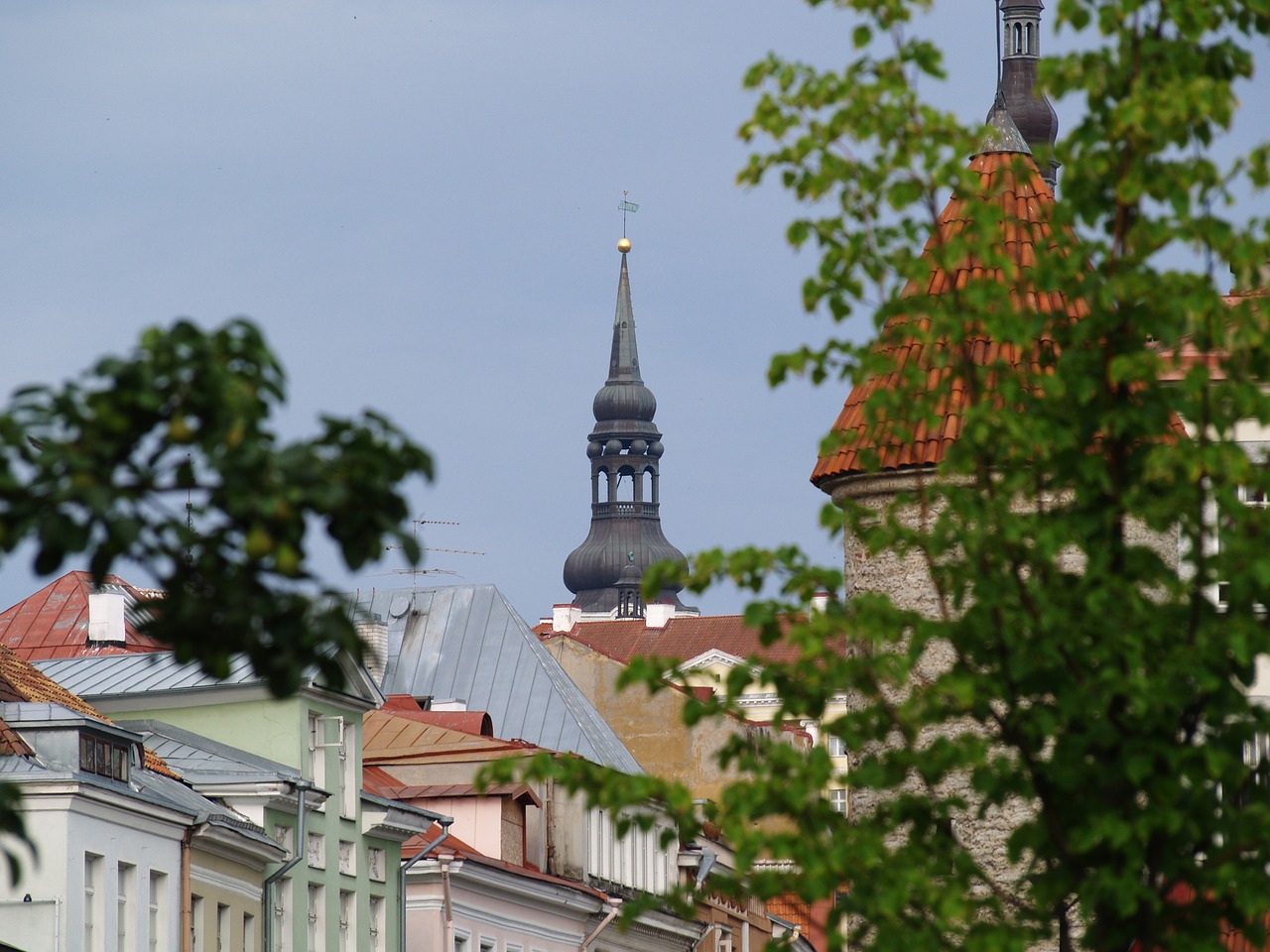 tallinn  old town  estonia free photo