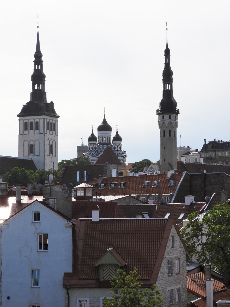 tallinn  estonia  panorama free photo