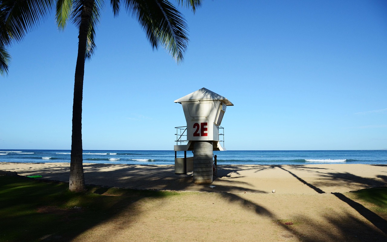 tama waikiki watchtower free photo