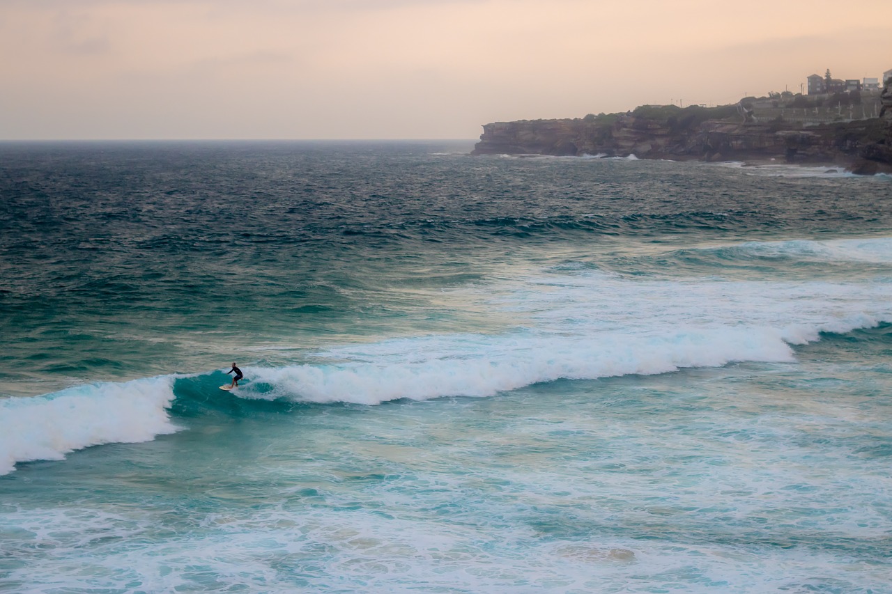 Tamarama Beach Surfer Wave Surfing Surf Free Image From Needpix Com