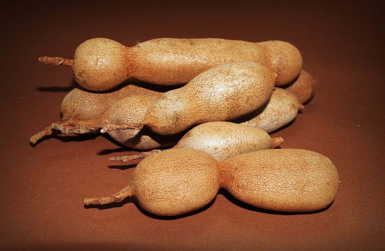 tamarind isolated ripe free photo