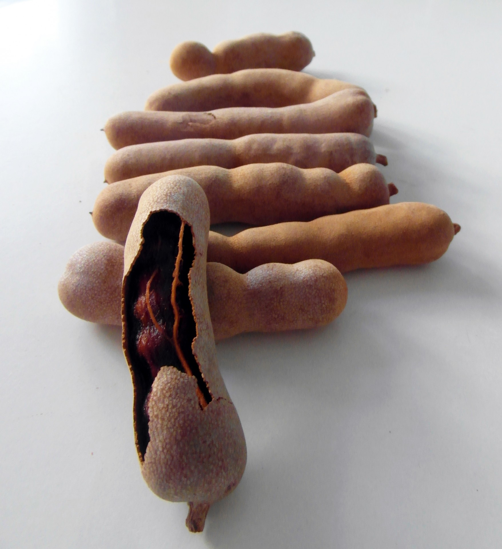 tamarind fruit asian free photo