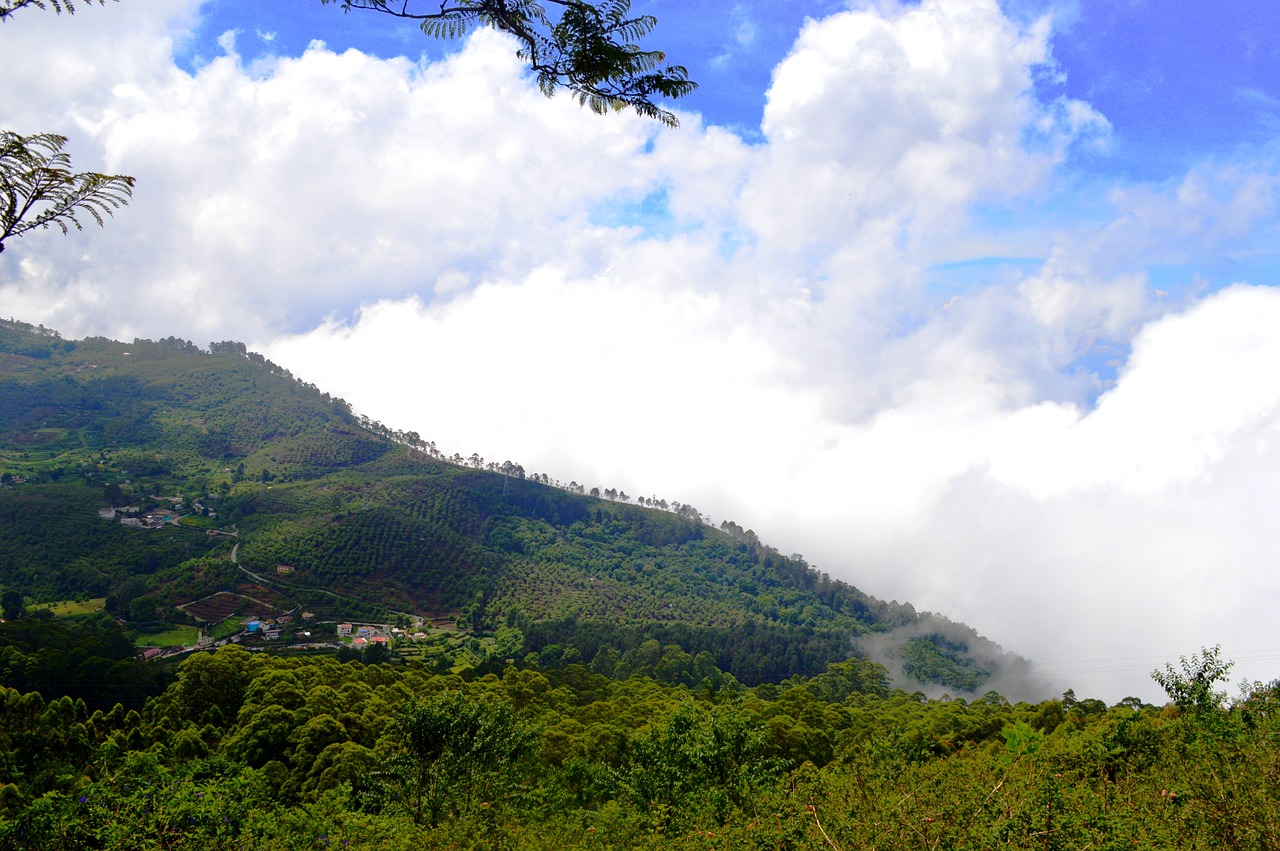 tamil nadu india landscape free photo