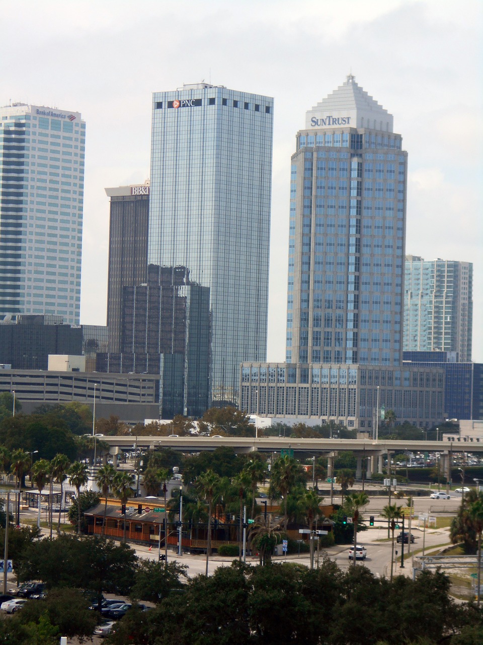 tampa florida skyline free photo