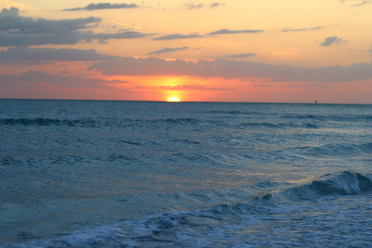 tampa  florida  beach free photo