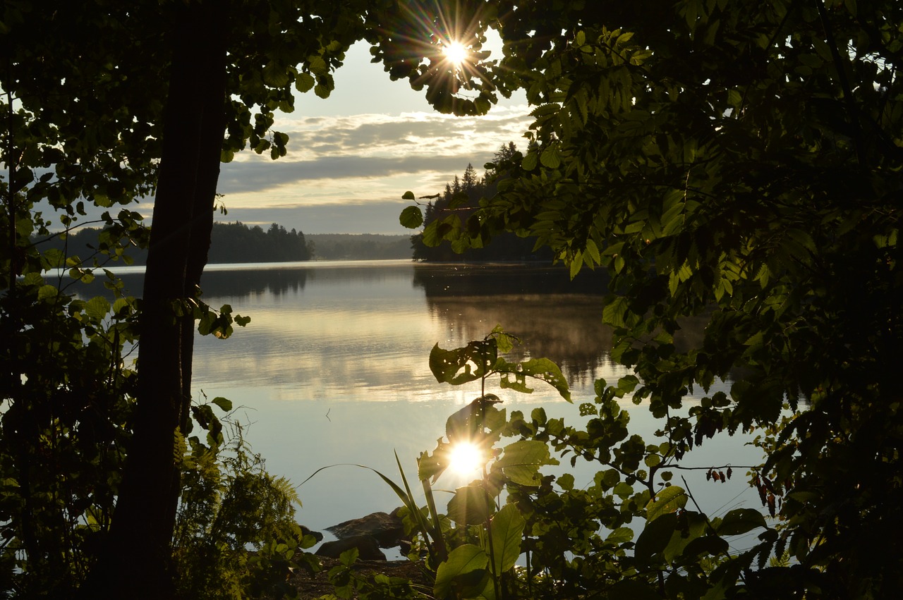 tampere  nature  summer free photo