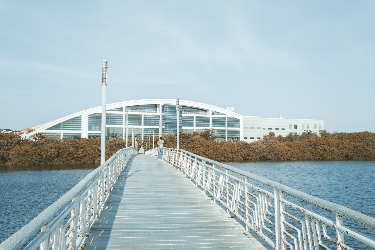 tampico  bridge  laguna free photo