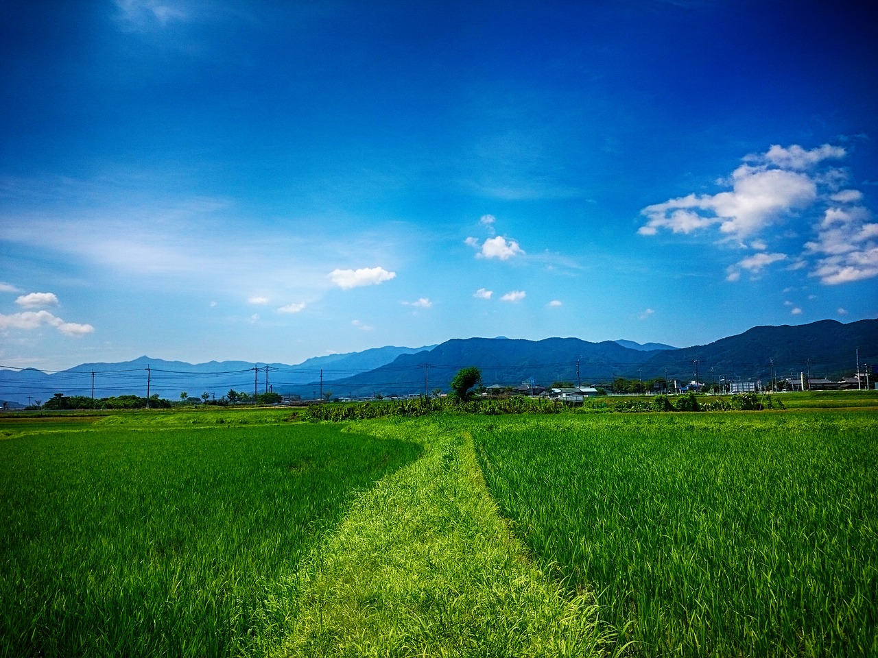tanaka yamada's rice fields the countryside free photo