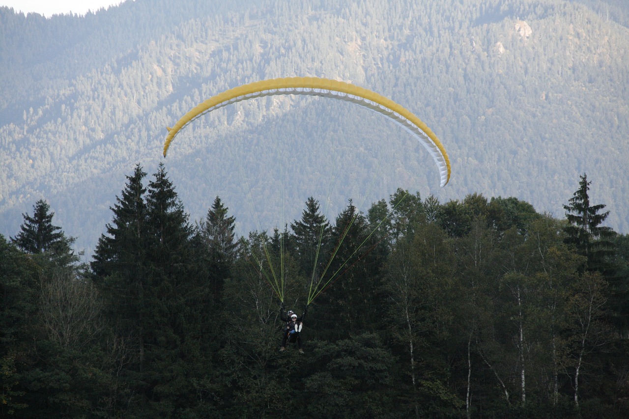 tandem jump  paragliding  tandem flight free photo