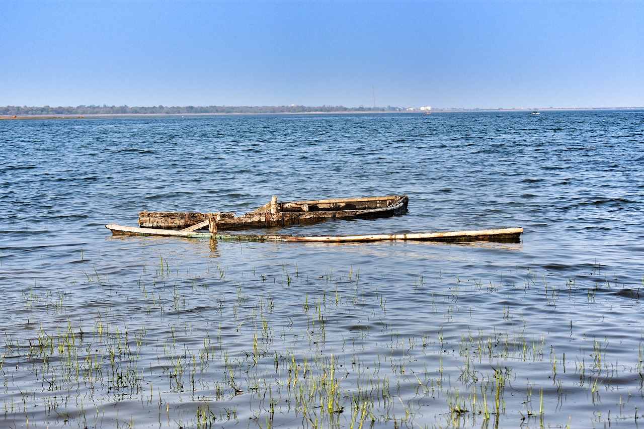 tandula  dam  balod free photo