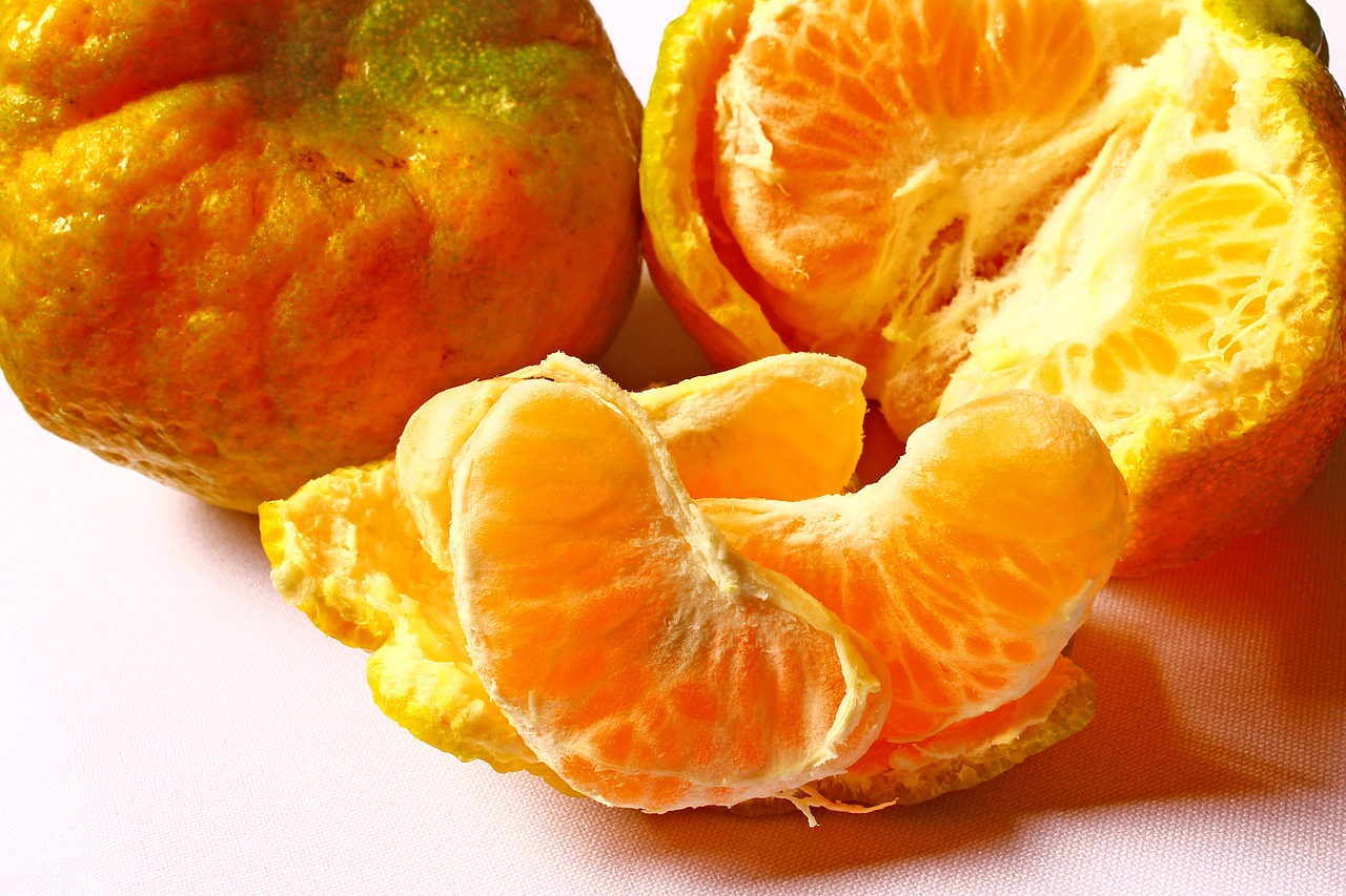 tangerine fruit citrus fruit free photo