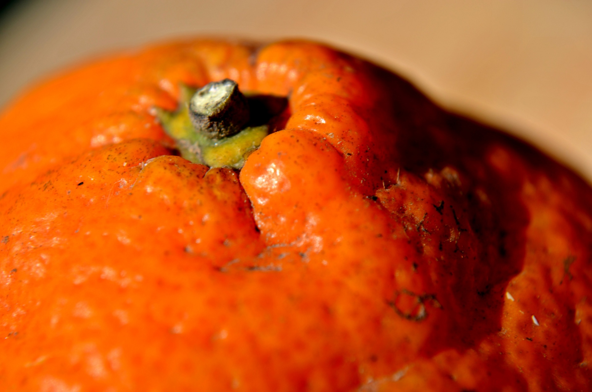 food citrus tangerine free photo