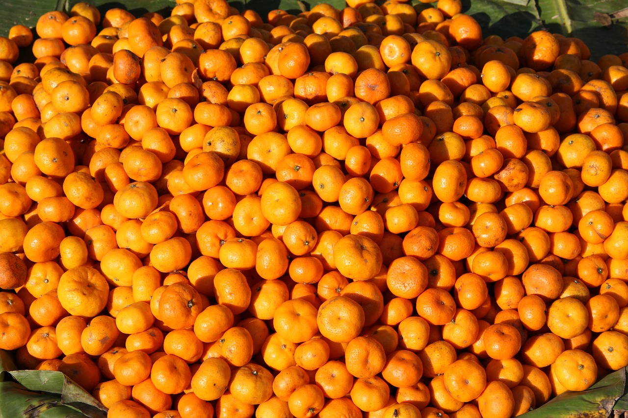 tangerines orange food free photo