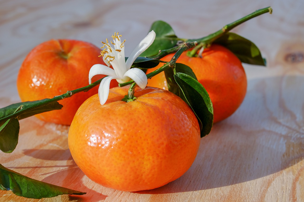 tangerines clementines fruit free photo