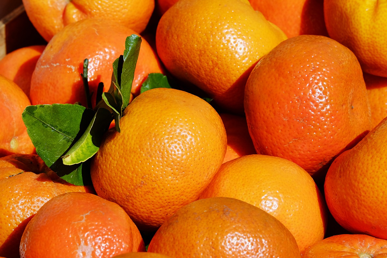 tangerines clementines citrus fruits free photo