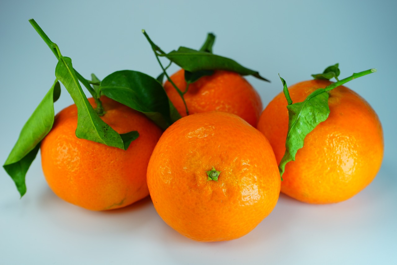 tangerines clementines oranges free photo