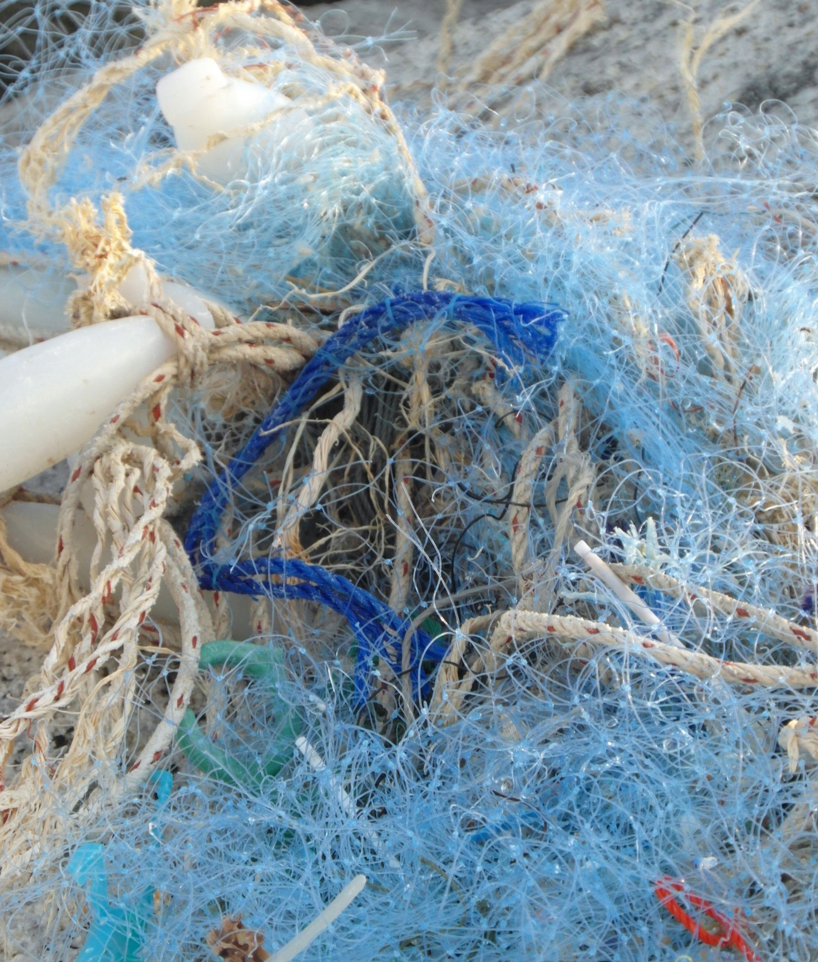 tangled fishing net free photo