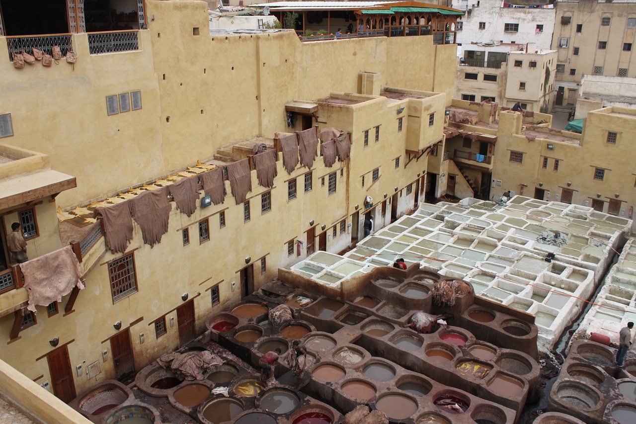 tannery morocco skins free photo