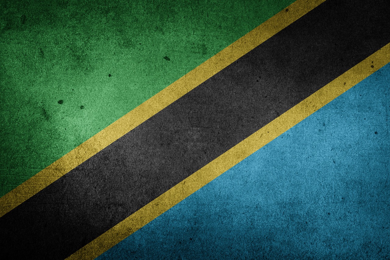 tanzania flag grunge free photo