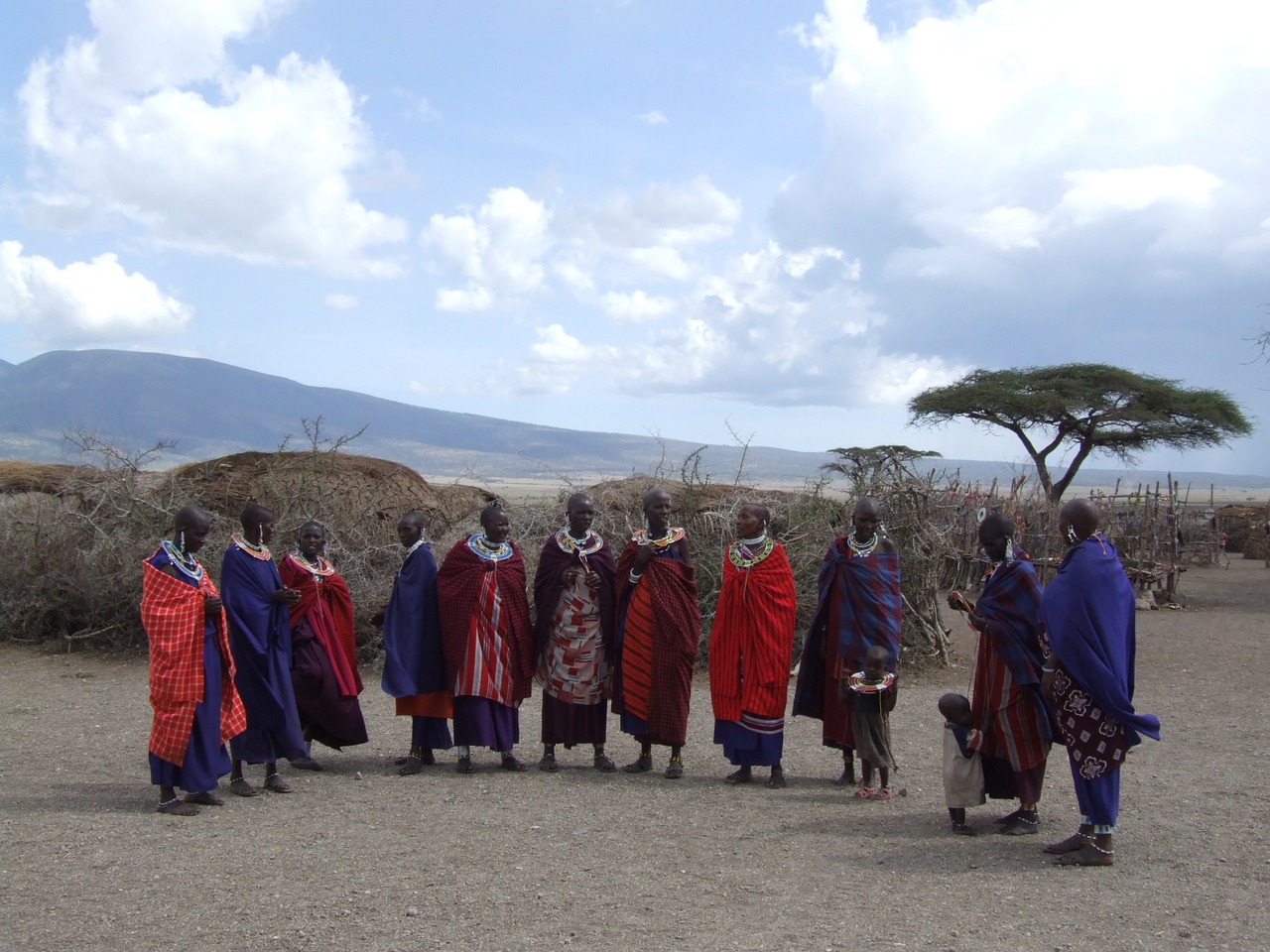 tanzania masai serengeti free photo