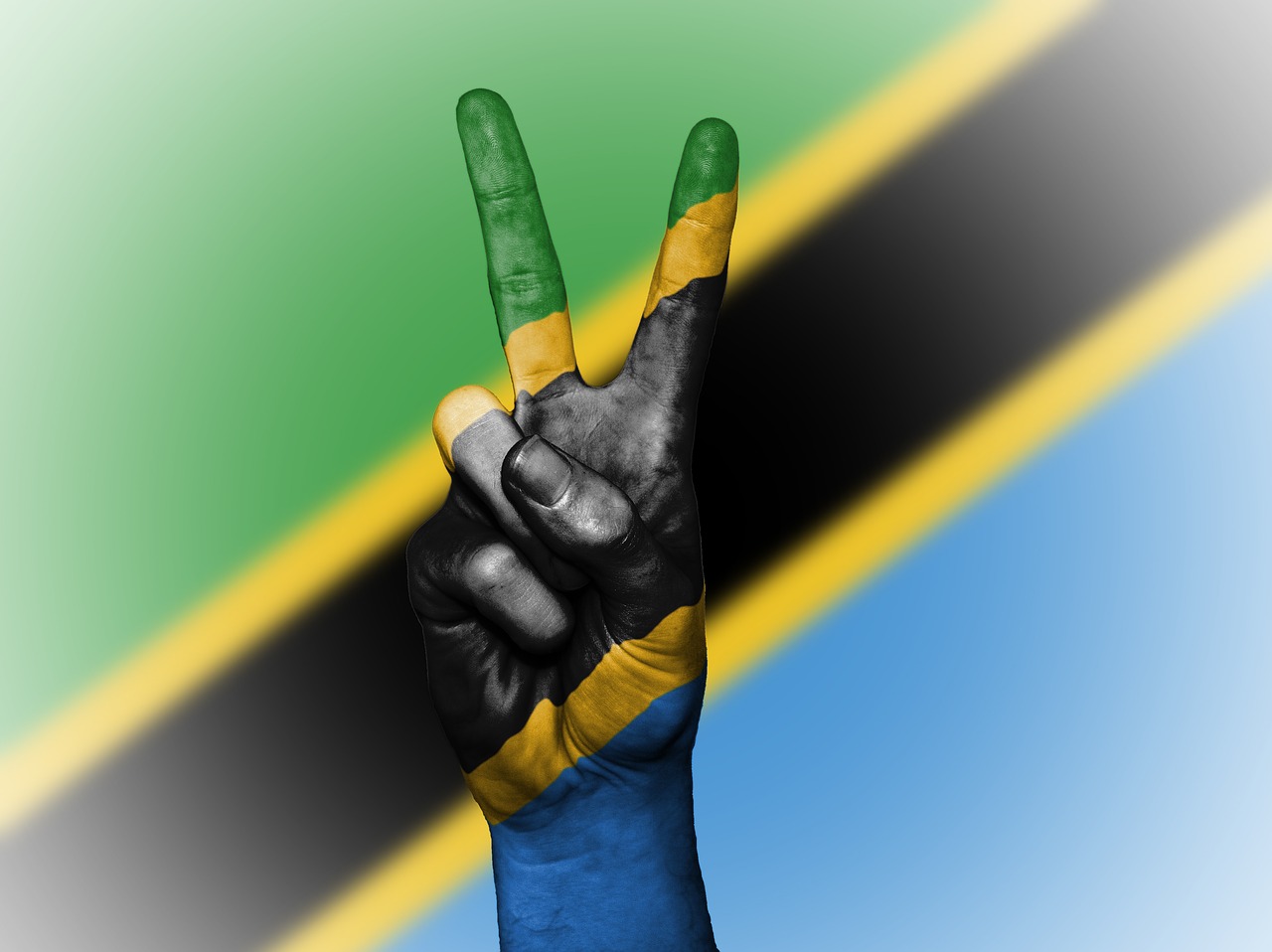 tanzania peace hand free photo