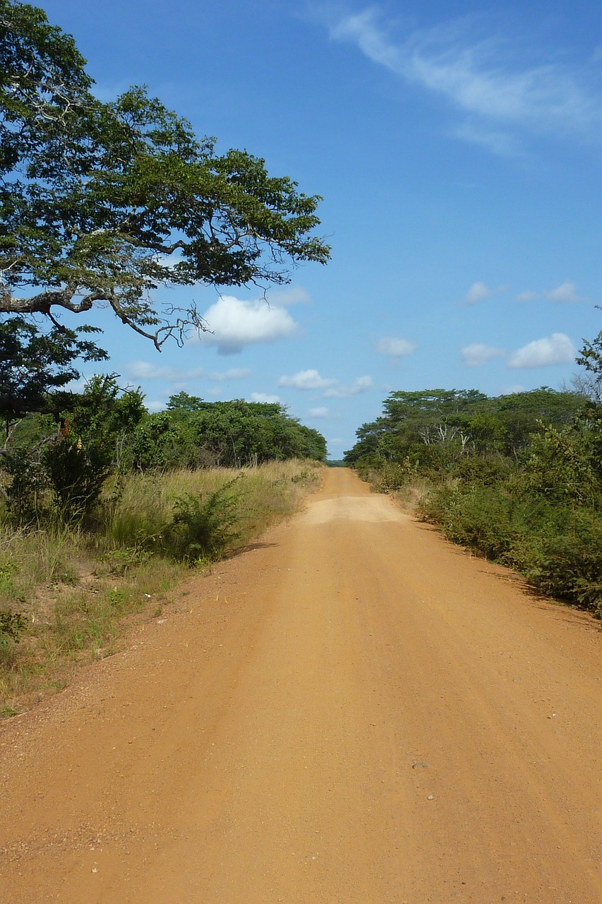 tanzania road dust free photo
