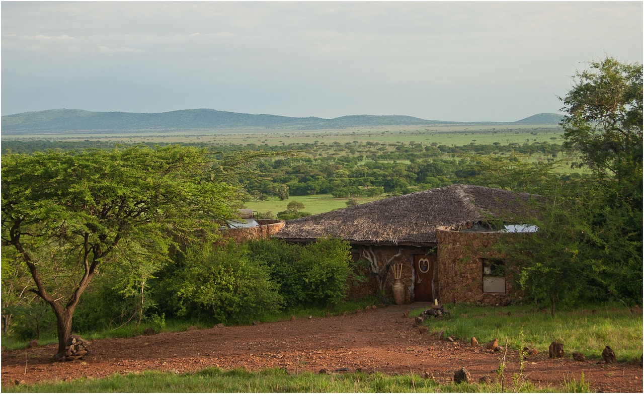 tanzania serengeti safari free photo