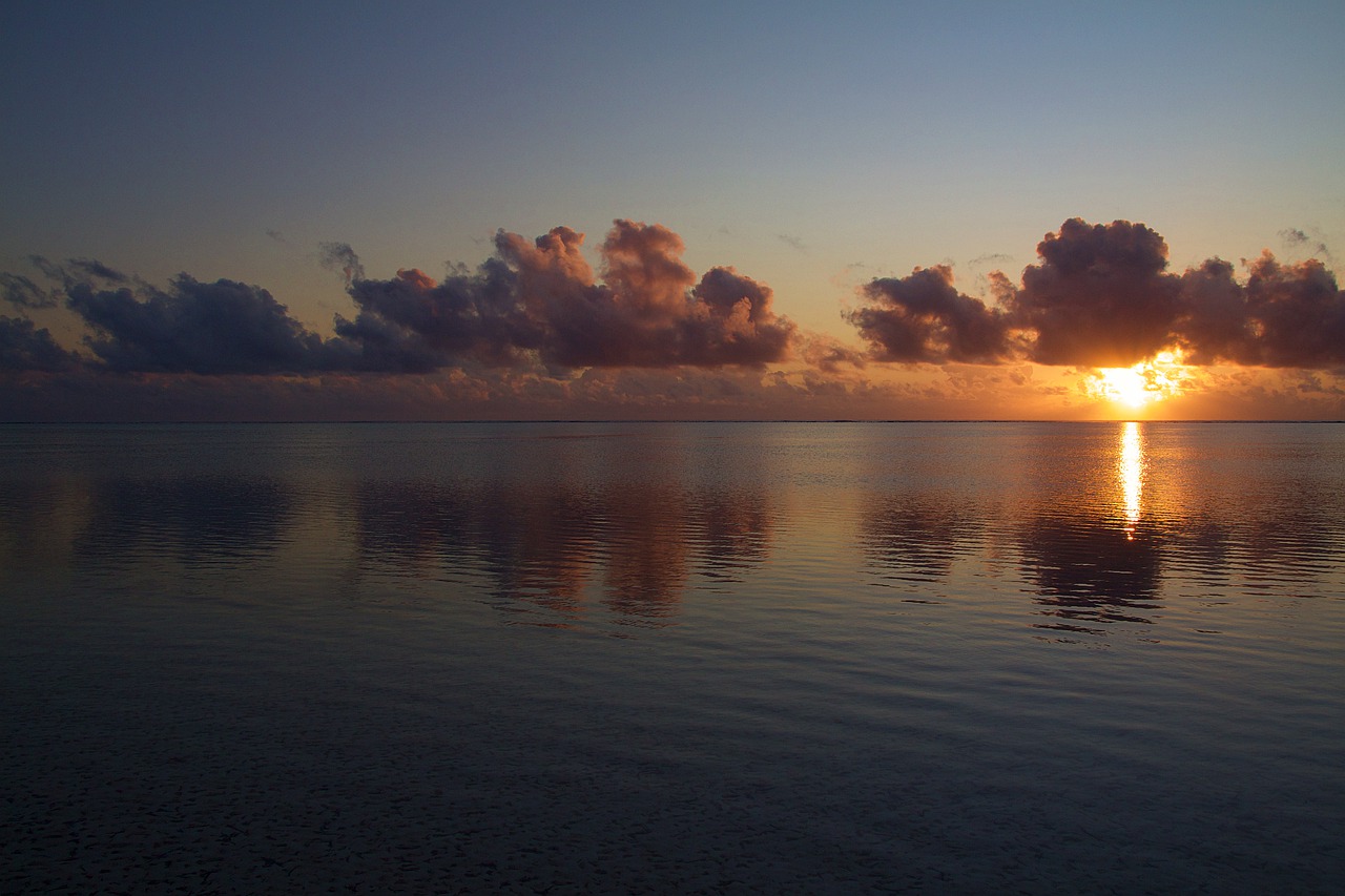 tanzania  zanzibar  africa free photo