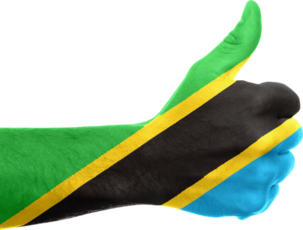 tanzania flag hand free photo