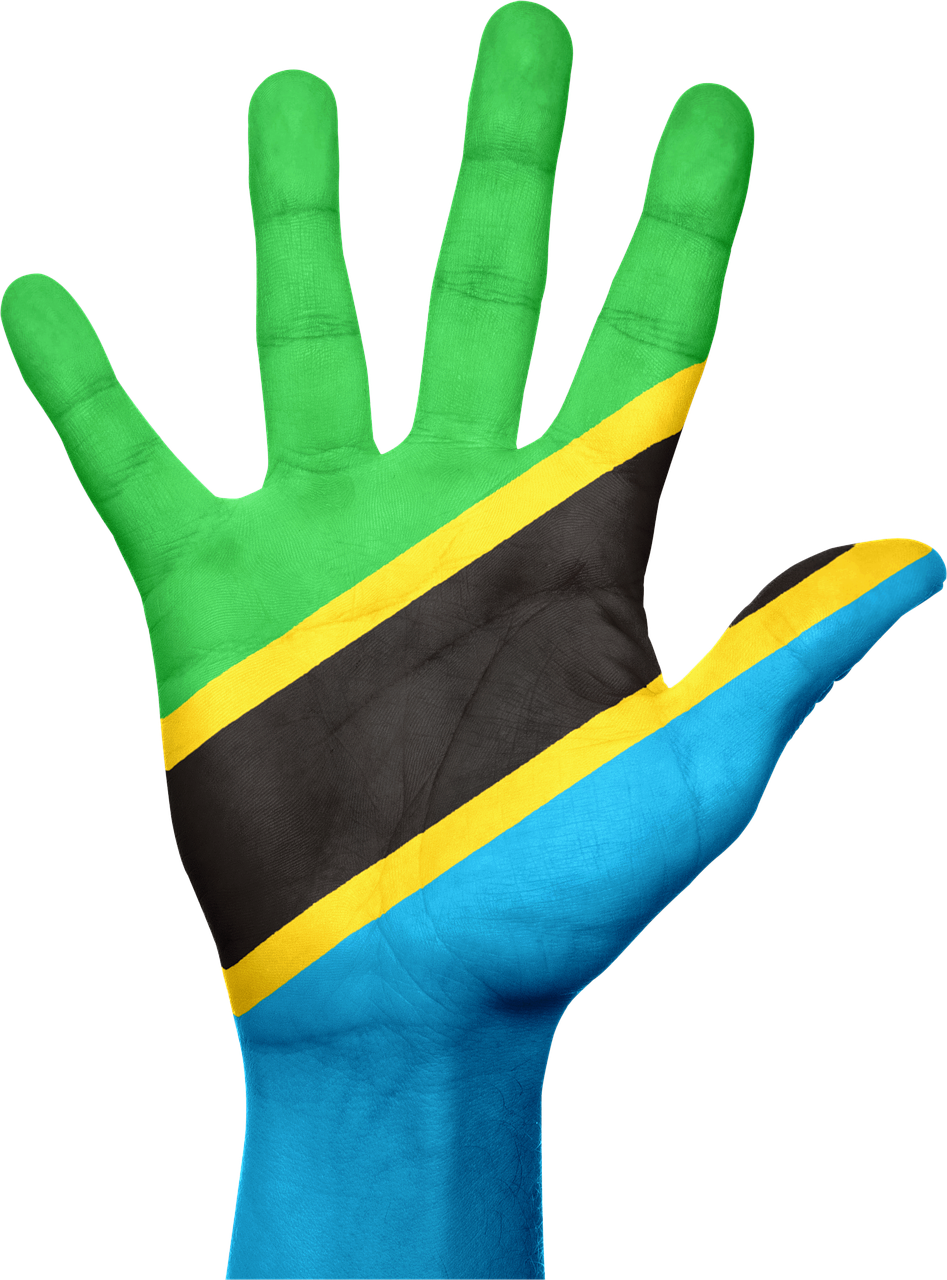 tanzania flag hand free photo