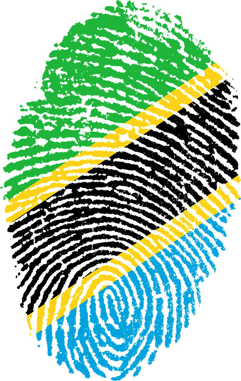 tanzania flag fingerprint free photo