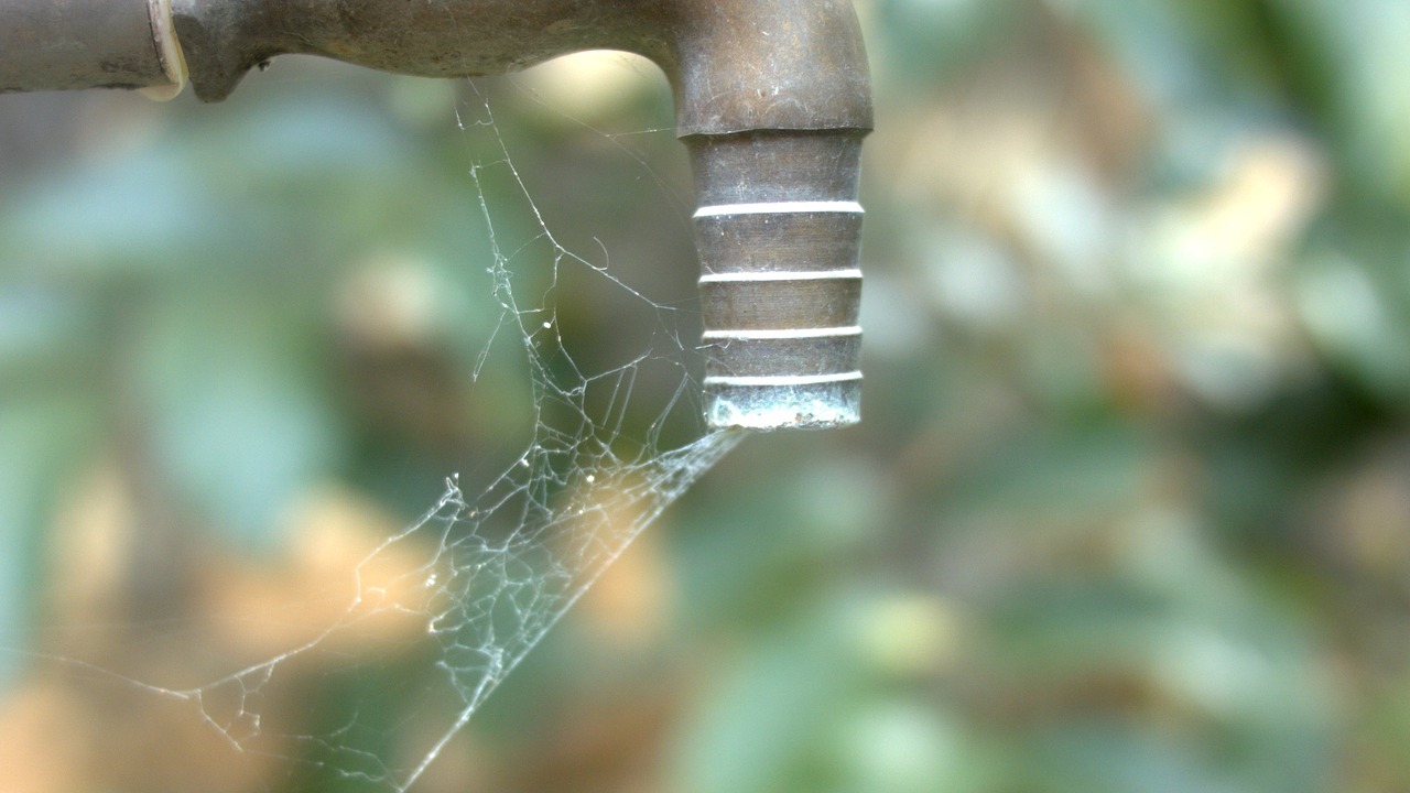 tap water scarcity spider web free photo