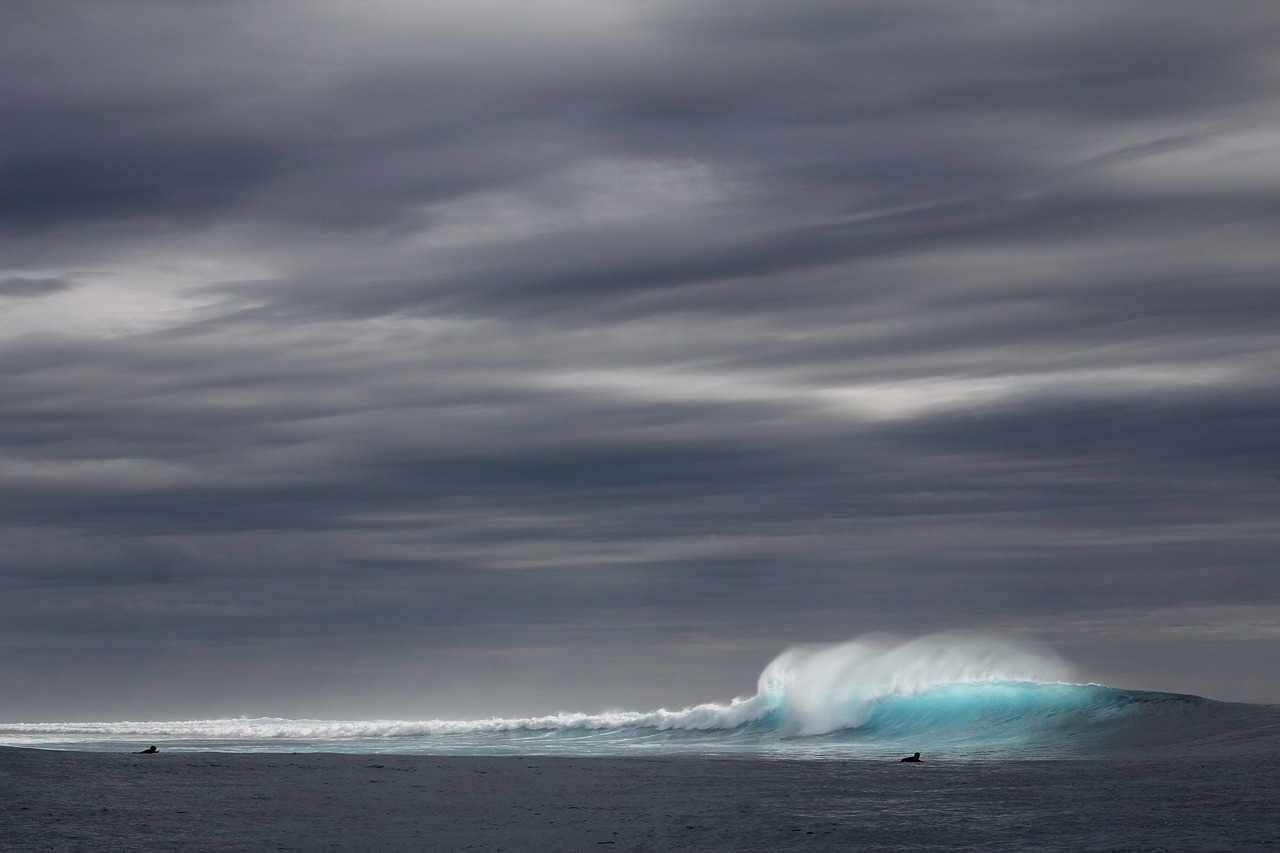 tapeworm surf rainy free photo