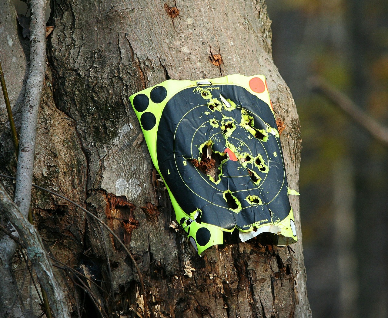 target practice bullseye shooting free photo