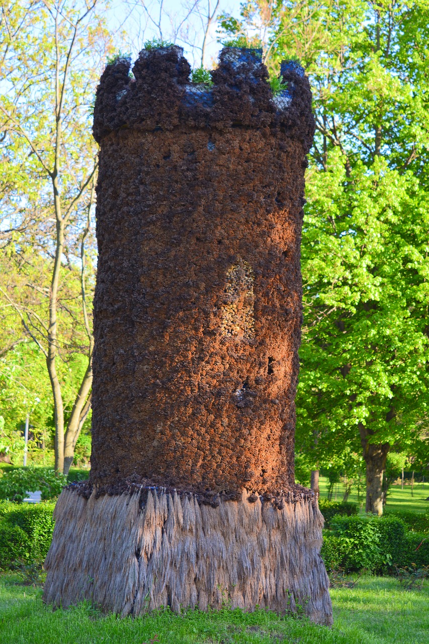 targoviste romania park free photo