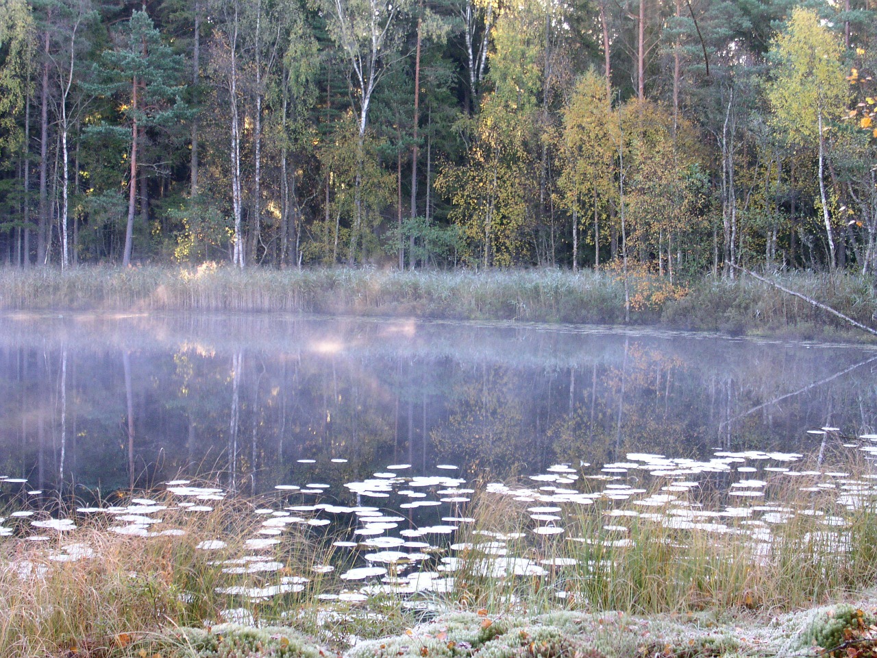 tarn lake mist free photo