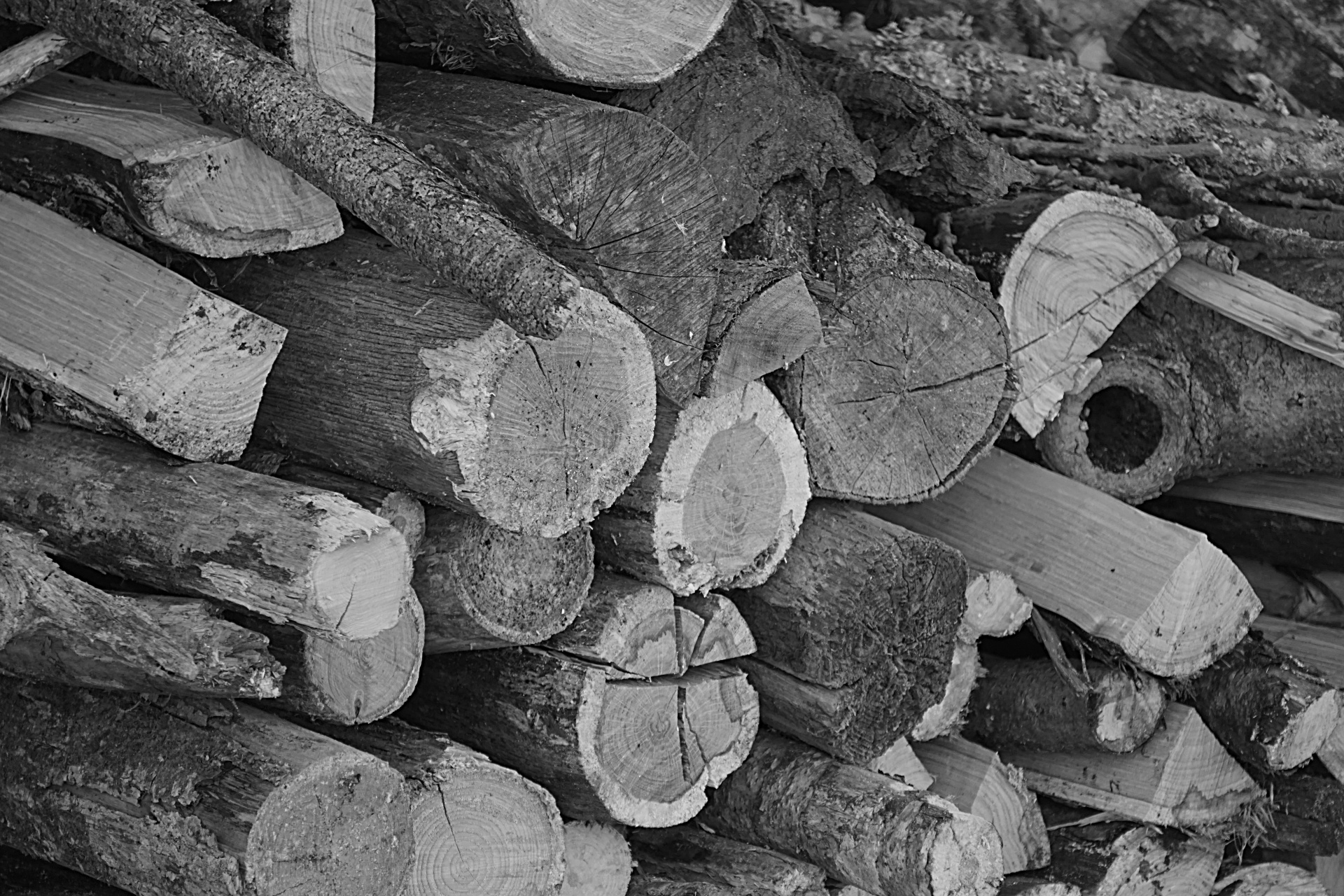 wood wood pile black white free photo
