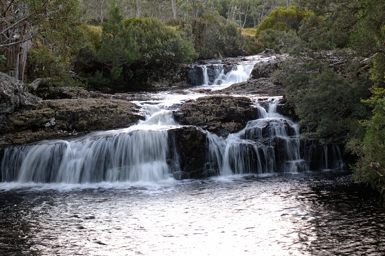 tasmania  cradle mountain lodge  australia free photo